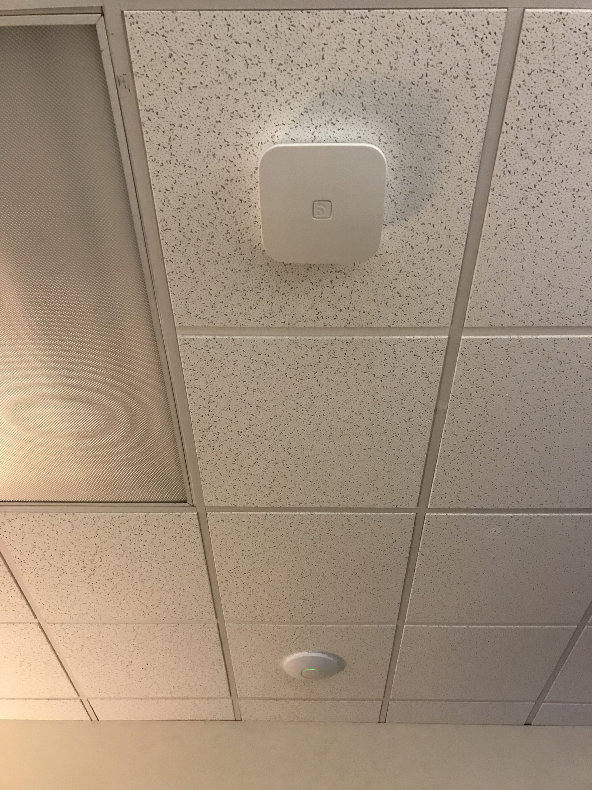 JPEG image 7